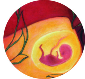 wzorce narodzin opinie